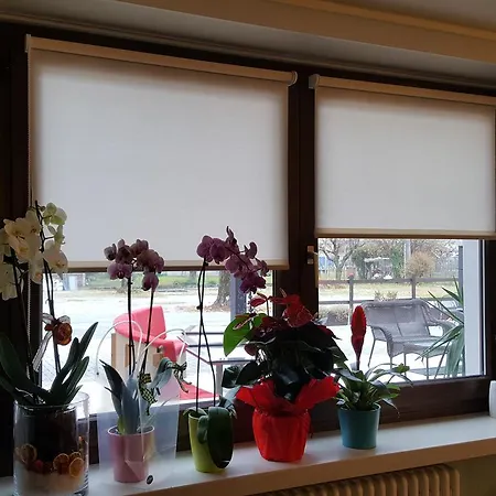 Cuorematto Frühstückspension Poggiridenti